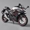 Масштабная модель мотоцикла Kawasaki Ninja 400 (1:12) от CCA